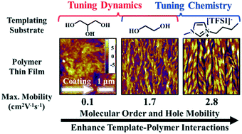 Graphical abstract: Design rules for dynamic-template-directed crystallization of conjugated polymers