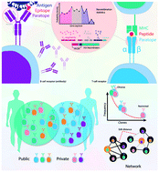 Graphical abstract: Augmenting adaptive immunity: progress and challenges in the quantitative engineering and analysis of adaptive immune receptor repertoires