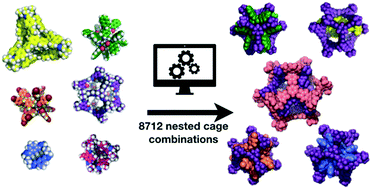 Graphical abstract: Computational screening for nested organic cage complexes