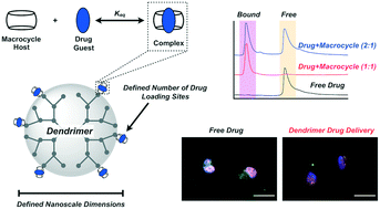 Graphical abstract: Single-molecule nanoscale drug carriers with quantitative supramolecular loading