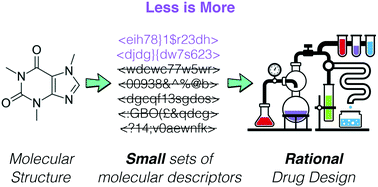 Graphical abstract: Less may be more: an informed reflection on molecular descriptors for drug design and discovery