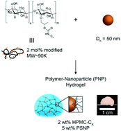 Graphical abstract: Structural considerations for physical hydrogels based on polymer–nanoparticle interactions