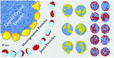 Graphical abstract: Nanoparticles shape-specific emergent behaviour on liquid crystal droplets