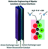 Graphical abstract: Promoting water-splitting in Janus bipolar ion-exchange resin wafers for electrodeionization