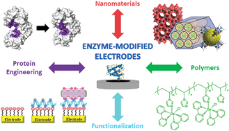 Graphical abstract: Enzyme-modified electrodes for biosensors and biofuel cells