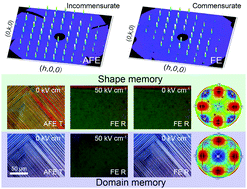 Graphical abstract: Giant shape memory and domain memory effects in antiferroelectric single crystals