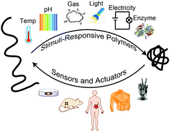 Graphical abstract: Stimuli-responsive polymers for sensing and actuation
