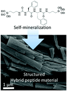 Graphical abstract: Self-mineralization and assembly of a bis-silylated Phe–Phe pseudodipeptide to a structured bioorganic–inorganic material