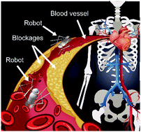 Graphical abstract: Microscopic hollow hydrogel springs, necklaces and ladders: a tubular robot as a potential vascular scavenger