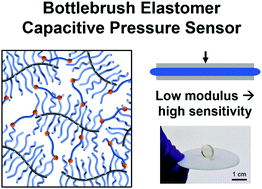 Graphical abstract: Super-soft solvent-free bottlebrush elastomers for touch sensing