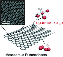 Graphical abstract: A centimeter scale self-standing two-dimensional ultra-thin mesoporous platinum nanosheet