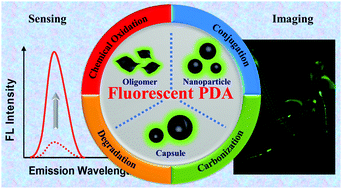 Graphical abstract: Recent developments in polydopamine fluorescent nanomaterials