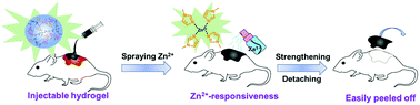 Graphical abstract: Wound dressing change facilitated by spraying zinc ions