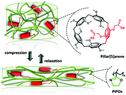 Graphical abstract: High compression strength single network hydrogels with pillar[5]arene junction points