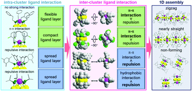 Graphical abstract: Understanding and designing one-dimensional assemblies of ligand-protected metal nanoclusters