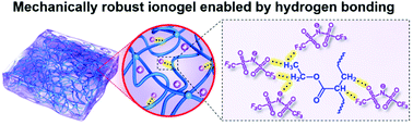 Graphical abstract: Transparent, mechanically robust, and ultrastable ionogels enabled by hydrogen bonding between elastomers and ionic liquids