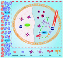 Graphical abstract: Reconstructing the intracellular pH microenvironment for enhancing photodynamic therapy