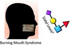Graphical abstract: Reduced sialyl-Lewisx on salivary MUC7 from patients with burning mouth syndrome