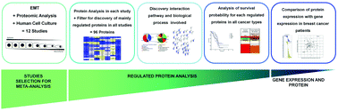 Graphical abstract: A proteomics outlook towards the elucidation of epithelial–mesenchymal transition molecular events