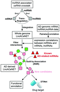 Graphical abstract: Comprehensive analysis of the lncRNA-associated ceRNA network identifies neuroinflammation biomarkers for Alzheimer's disease