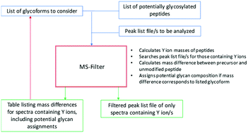 Graphical abstract: The effectiveness of filtering glycopeptide peak list files for Y ions