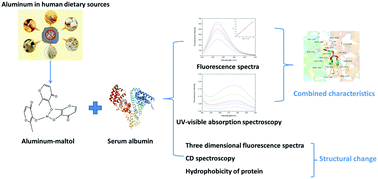 Graphical abstract: Characterization of the binding mechanism and conformational changes of bovine serum albumin upon interaction with aluminum-maltol: a spectroscopic and molecular docking study