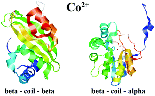 Graphical abstract: Cobalt(ii) cation binding by proteins