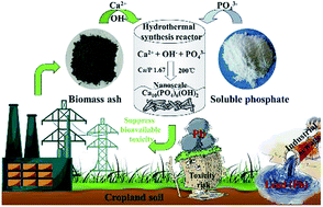 Graphical abstract: Suppression of the environmental risks of lead in cropland soil using biomass ash and its modified product