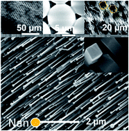 Graphical abstract: Epitaxial highly ordered Sb:SnO2 nanowires grown by the vapor liquid solid mechanism on m-, r- and a-Al2O3
