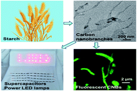 Graphical abstract: Facile synthesis of carbon nanobranches towards cobalt ion sensing and high-performance micro-supercapacitors