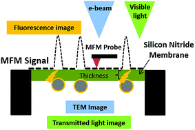 Graphical abstract: Indirect magnetic force microscopy