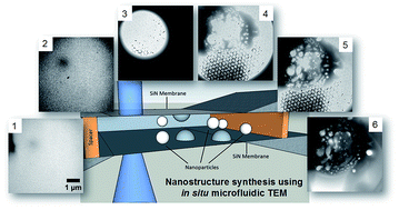 Graphical abstract: Synthesis of complex rare earth nanostructures using in situ liquid cell transmission electron microscopy