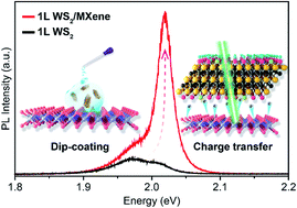 Graphical abstract: Surface group-modified MXene nano-flake doping of monolayer tungsten disulfides