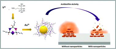 Graphical abstract: One-pot synthesis of a new generation of hybrid bisphosphonate polyoxometalate gold nanoparticles as antibiofilm agents