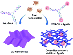 Graphical abstract: Nanosheets and 2D-nanonetworks by mutually assisted self-assembly of fullerene clusters and DNA three-way junctions