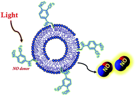 Graphical abstract: Nanoscale lipid vesicles functionalized with a nitro-aniline derivative for photoinduced nitric oxide (NO) delivery