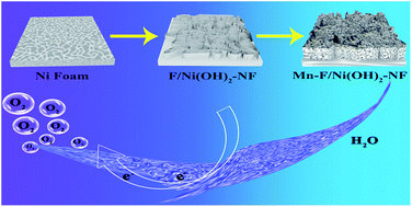 Graphical abstract: Introduction of Mn(iii) to regulate the electronic structure of fluorine-doped nickel hydroxide for efficient water oxidation