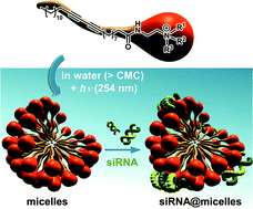 Graphical abstract: Tuning the cationic interface of simple polydiacetylene micelles to improve siRNA delivery at the cellular level
