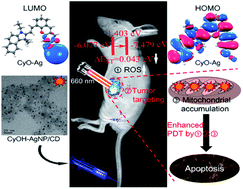 Graphical abstract: A near infrared dye-coated silver nanoparticle/carbon dot nanocomposite for targeted tumor imaging and enhanced photodynamic therapy