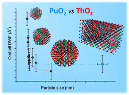 Graphical abstract: Probing the local structure of nanoscale actinide oxides: a comparison between PuO2 and ThO2 nanoparticles rules out PuO2+x hypothesis