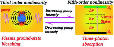 Graphical abstract: Paradoxical combination of saturable absorption and reverse-saturable absorption in plasmon semiconductor nanocrystals