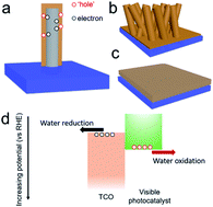 Graphical abstract: Transparent conductive oxides in photoanodes for solar water oxidation