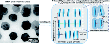 Graphical abstract: Magnetic field induced uniaxial alignment of the lyotropic liquid-crystalline PMMA-grafted Fe3O4 nanoplates with controllable interparticle interaction