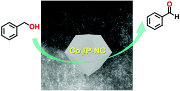 Graphical abstract: Single-atomic-site cobalt stabilized on nitrogen and phosphorus co-doped carbon for selective oxidation of primary alcohols