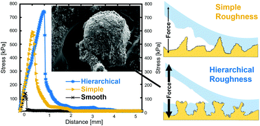 Graphical abstract: Perfect polymer interlocking by spherical particles: capillary force shapes hierarchical composite undercuts