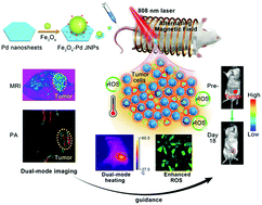Graphical abstract: Fe3O4–Pd Janus nanoparticles with amplified dual-mode hyperthermia and enhanced ROS generation for breast cancer treatment