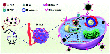 Graphical abstract: ROS self-generation and hypoxia self-enhanced biodegradable magnetic nanotheranostics for targeted tumor therapy
