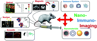 Graphical abstract: Nano-immunoimaging