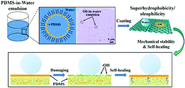 Graphical abstract: A “PDMS-in-water” emulsion enables mechanochemically robust superhydrophobic surfaces with self-healing nature