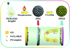 Graphical abstract: A 3D porous FeP/rGO modulated separator as a dual-function polysulfide barrier for high-performance lithium sulfur batteries